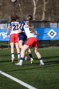 Bild 169 - wBJ Hamburger SV - Hertha BSC : Ergebnis: 2:1
